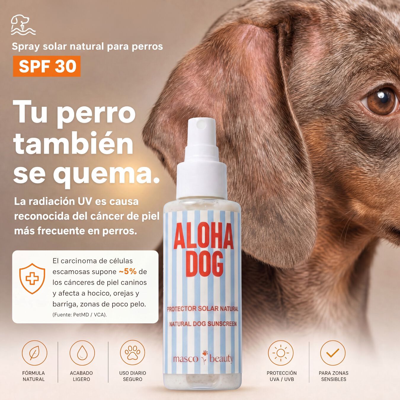 Protector Solar para perros SPF 30 &middot; Spray transparente &middot; Evita quemaduras solares &middot; Playa y monta&ntilde;a &middot; Hecho en Espa&ntilde;a, , large Imagen numero 2