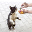 Kong Tubos Recargables con Catnip para gatos, , large indicador imagen numero 2