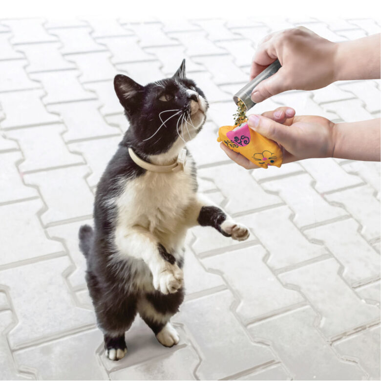 Kong Tubos Recargables con Catnip para gatos thumbnail
