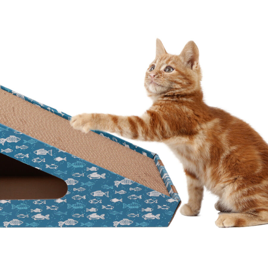 Leeby Walter rascador de cart&oacute;n horizontal con bola y estampado de peces para gatos, , large Imagen numero 2