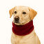 Outech Bufanda Roja para perros, , large indicador imagen numero 3
