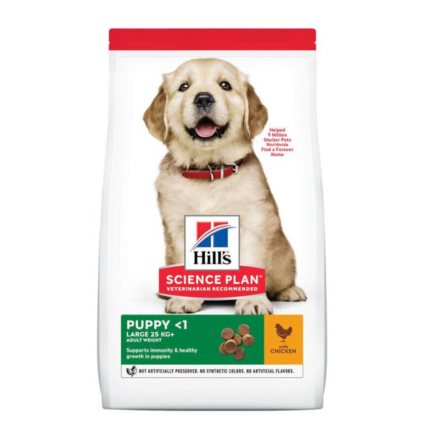 14.5 kg Hill's Science Plan Puppy large Pollo pienso para perros, , large Imagen numero 1