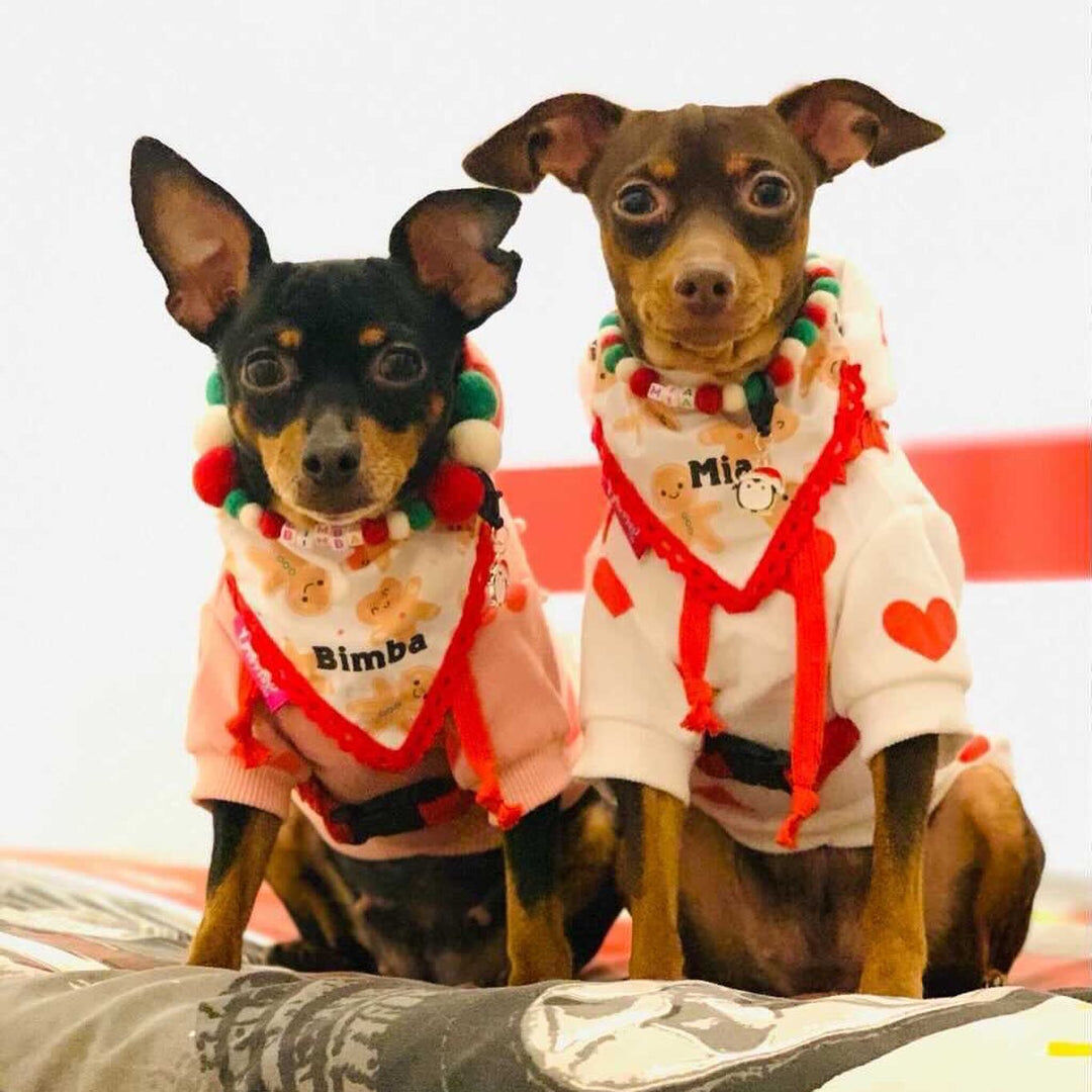 Collar De Perro Personalizado Con Pompones, , large Imagen numero 5