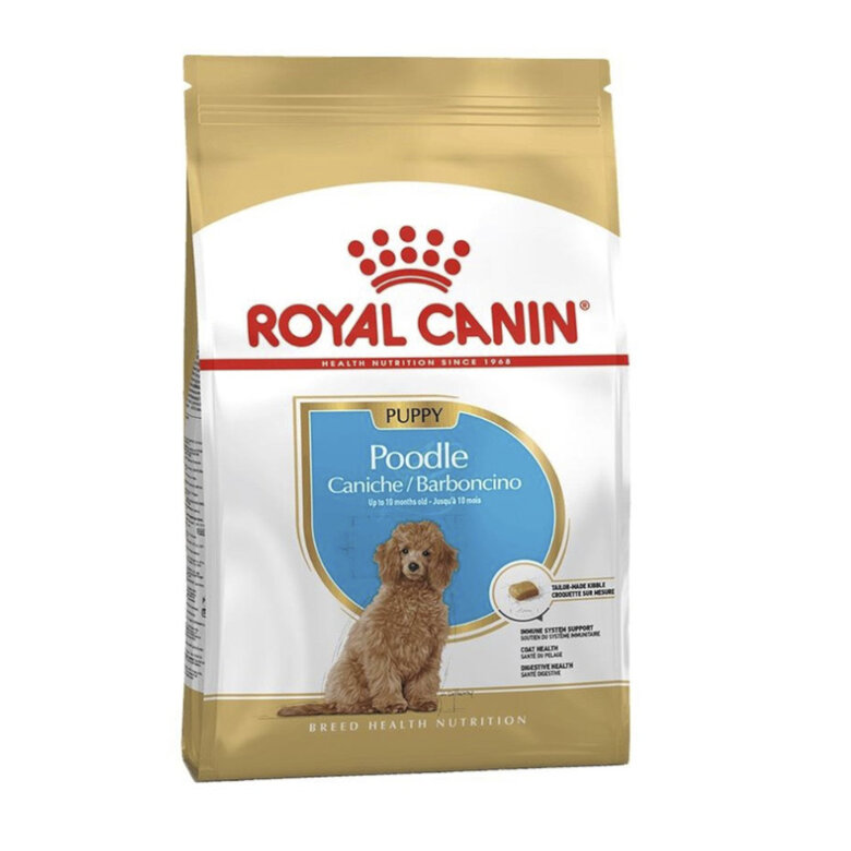 Royal Canin Poodle Puppy pienso para perros, , large image number null