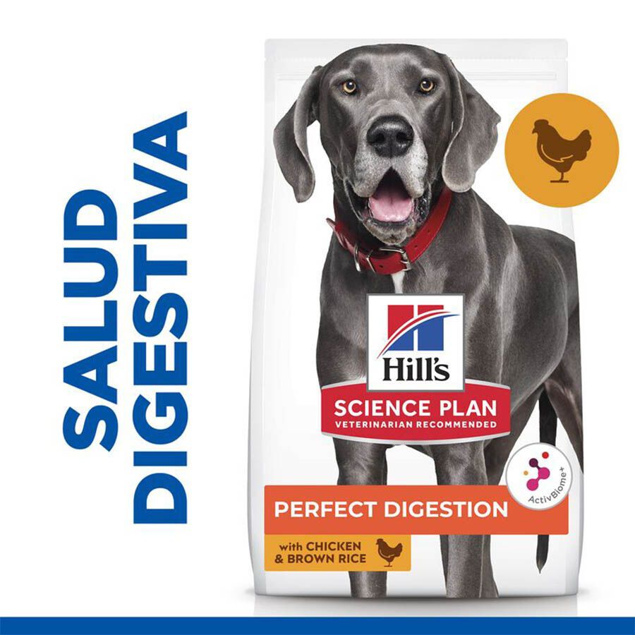Hill&#039;s Science Plan Perfect Digestion Adult large Pollo pienso para perros thumbnail