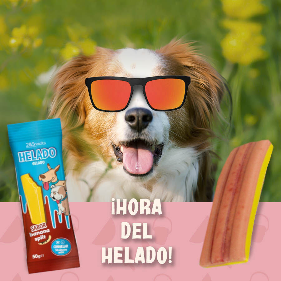 1 ud. 2&Snacks Helado de Banana Split para perros, , large Imagen numero 2