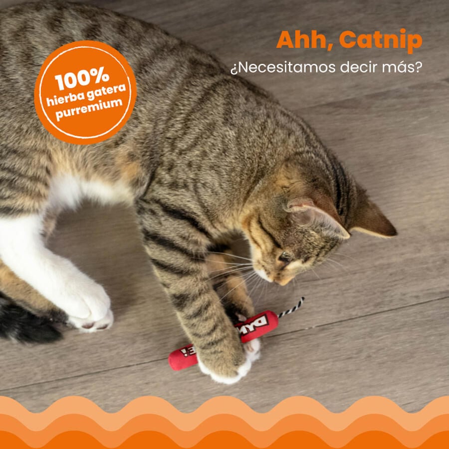 Catstages Green Magic Dynamite Rojo Peluche para gatos thumbnail