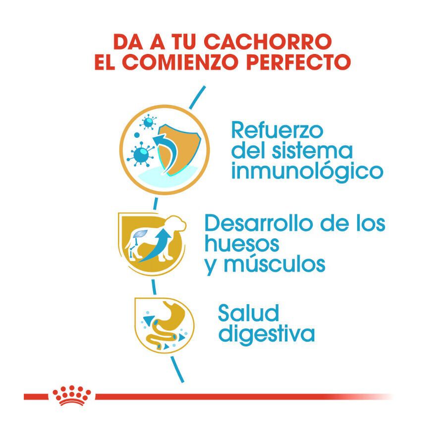 Royal Canin Puppy Rottweiler pienso para perros thumbnail