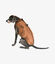 Pet and Co Abrigo Acolchado Marrón Ruby Con Arnés - Perros, , large indicador imagen numero 3