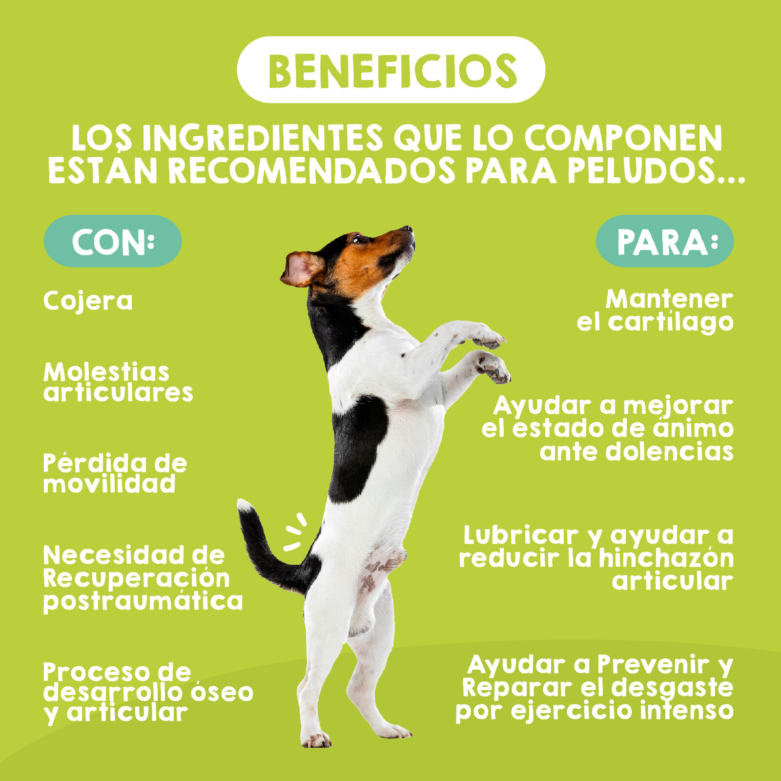 MAIKAI Condroprotector para Perros Peque&ntilde;os y Medianos 120 Comprimidos, , large Imagen numero 3