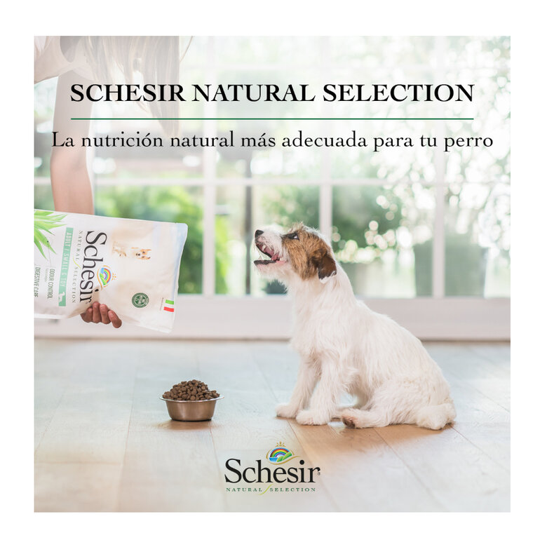 Schesir Adult Small&Toy Natural Selection Buey pienso para perros, , large image number null