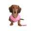 Arnés Dotty Soft para perros color Rosa, , large indicador imagen numero 2