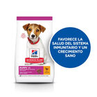 Hill's Puppy Smal & Mini Science Plan Pollo pienso , , large image number null