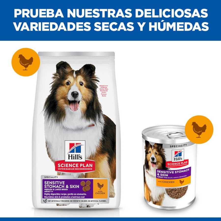 Hill&#039;s Science Plan Sensitive Stomach y skin Adult Pollo pienso para perros thumbnail