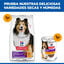 14 kg Hill's Science Plan Sensitive Stomach y skin Adult Pollo pienso para perros, , large indicador imagen numero 4