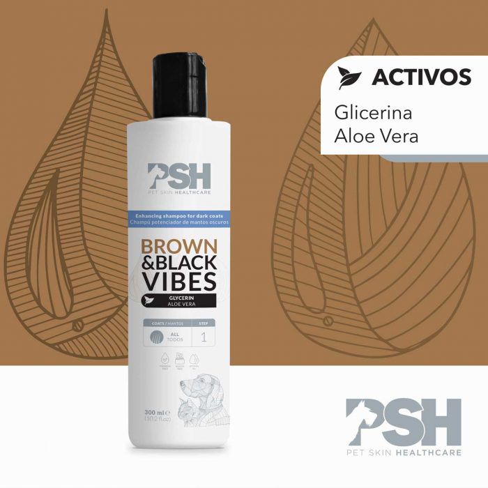 PSH Brown & Black Vibes Shampoo, , large Imagen numero 4