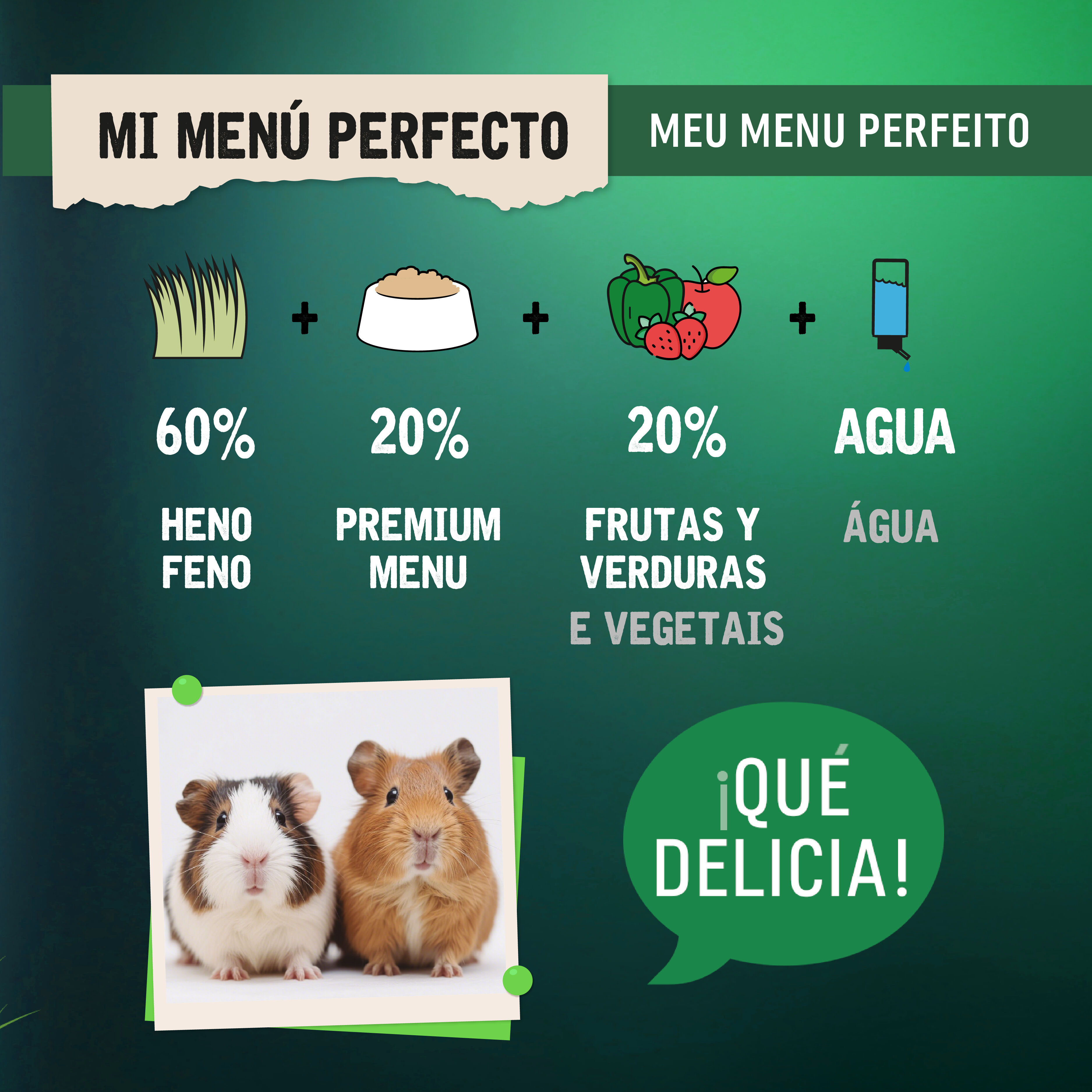 0.8 kg Small Life Premium Men&uacute; Pienso para cobaya, , large Imagen numero 5