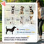 PawHut Cochecito para Perros Azul, , large indicador imagen numero 4