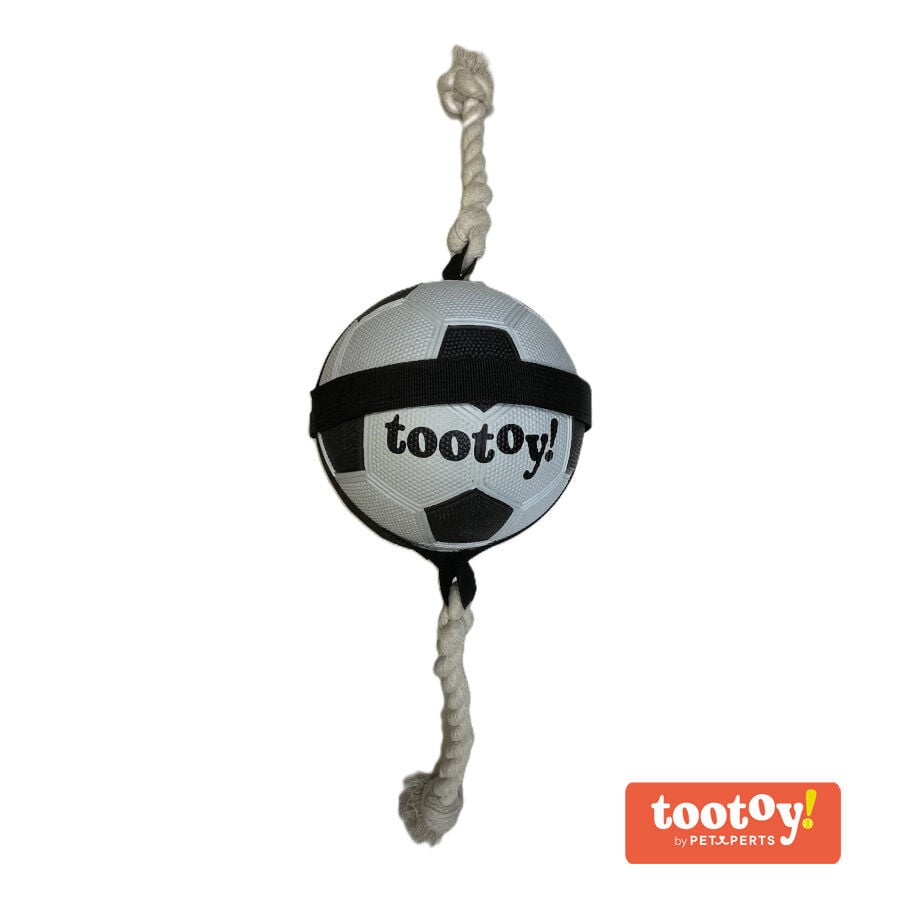 Tootoy! Chase Large Football pelota para perros