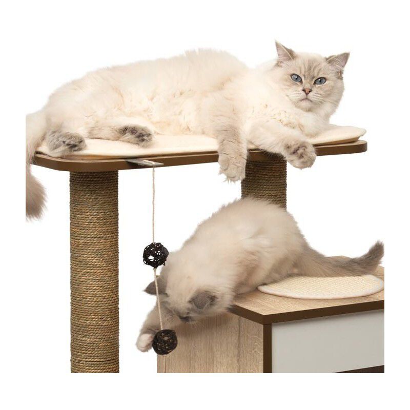 Rascador Vesper Base Roble para gatos color Roble, , large Imagen numero 3