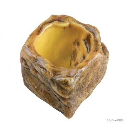 Bebedero Exo-Terra Water Dishes color Marr&oacute;n, , large Imagen numero 1