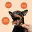 dr.bimix Galletas de Pato con Naranja para Perros | Snack Natural Premium, , large indicador imagen numero 3
