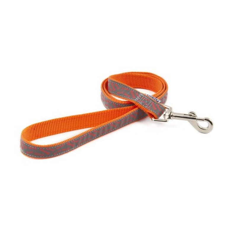 Ancol fashion correa de nylon naranja para perros, , large image number null