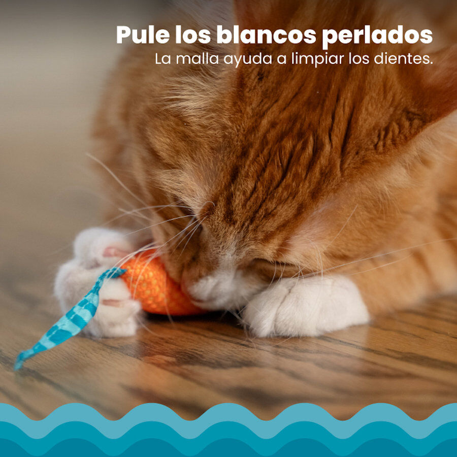 Catstages Chew Ratón con Catnip para gatos thumbnail