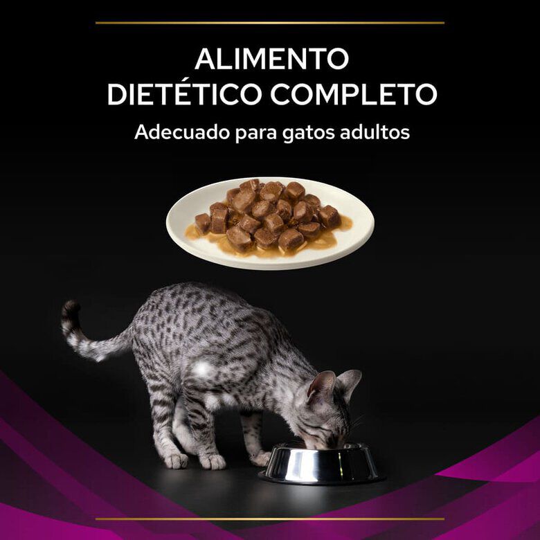 Pro Plan Veterinary Diets Feline UR Salmón  x 85 g thumbnail
