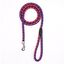 Correa corta MyPetCare para perro color Azul, , large indicador imagen numero 2