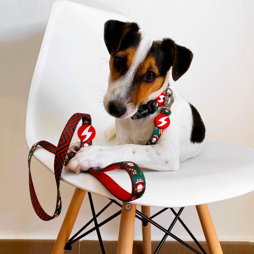 Correa de poli&eacute;ster Noel para perros color Varios, , large Imagen numero 3