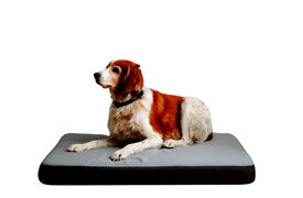 MAXTIN CAMA VISCOLÁSTICA GRIS PARA PERROS