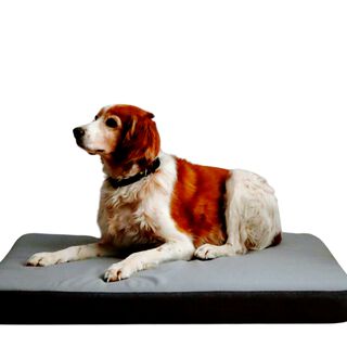 MAXTIN CAMA VISCOLÁSTICA GRIS PARA PERROS