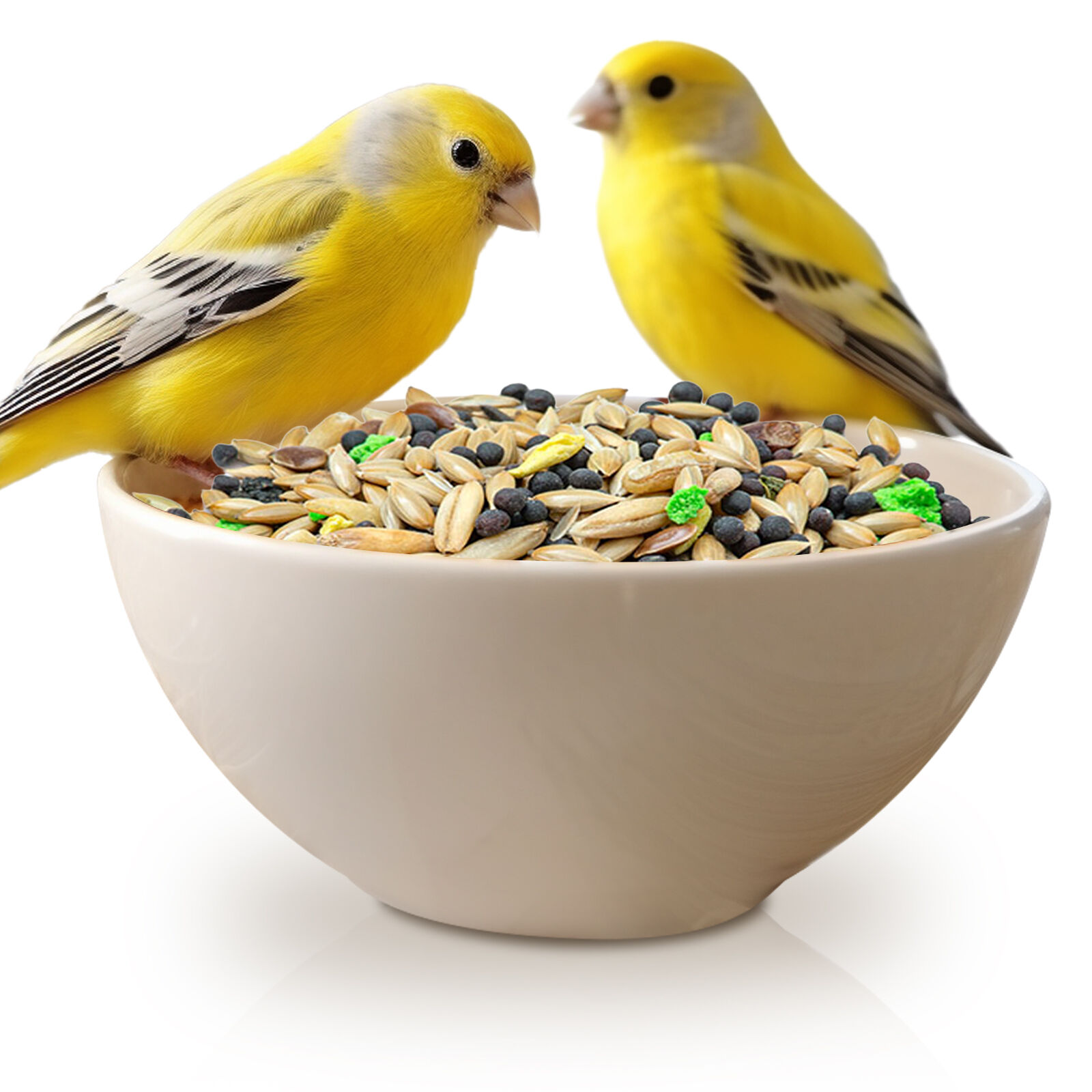 Nobleza - (500g) Comida para Canarios, Pienso Premium para Aves, Alimento Sana y Sabrosa para P&aacute;jaros, , large Imagen numero 1