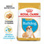 12 kg Royal Canin Puppy Bulldog pienso para cachorros, , large indicador imagen numero 1