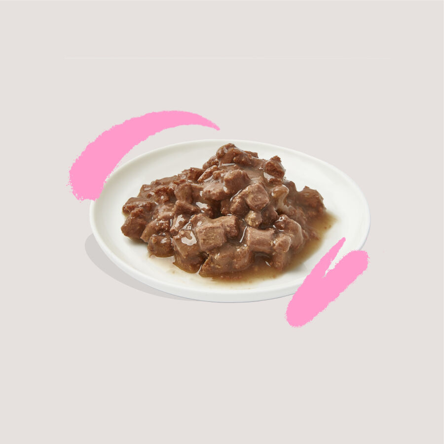 Edgard &amp; Cooper Kitten Trocitos de Pato y Pollo en Salsa lata para gatos thumbnail