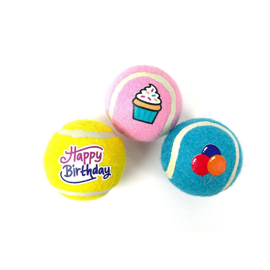 Tootoy! Comfort Happy Birthday Pack de pelotas para perro, , large Imagen numero 2