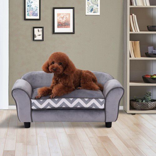 Cama perro deals diseño