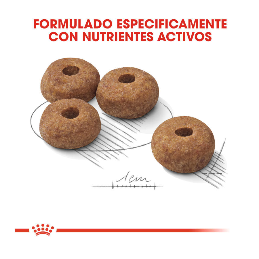 Royal Canin Sterilised Medium pienso para perros thumbnail