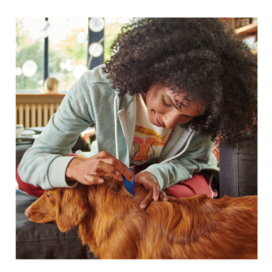 Beaphar FiproTec Pipetas para perros thumbnail