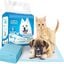 Nobleza - 100 x Empapadores Perros Alfombrilla higiénica de Entrenamiento para Perros. Ultraabsorbente 60cm*40cm, , large indicador imagen numero 1
