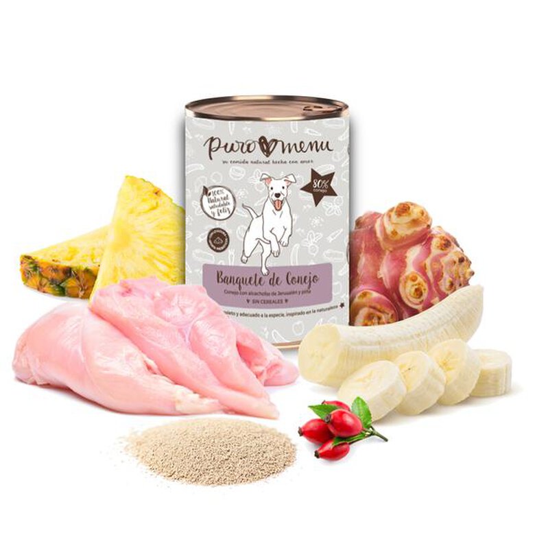 Comida húmeda para perros (800g) | con 80% de carne de Conejo | Sin cereales | Sin patata | Sin aditivos | Monoproteico | 1 lata de 800g