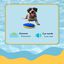 Summer Vibes Pelota Rugby Ovalado Flotante Peluche para perros, , large indicador imagen numero 3