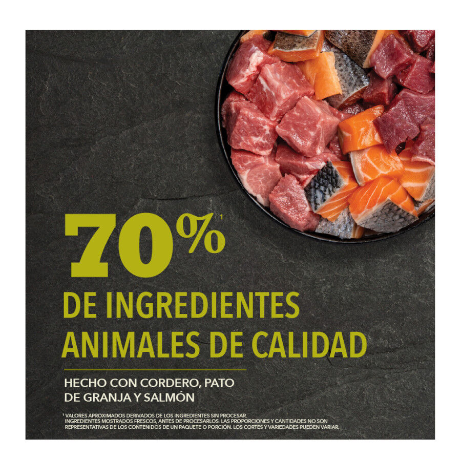 Acana HP Grasslands pienso para perros thumbnail