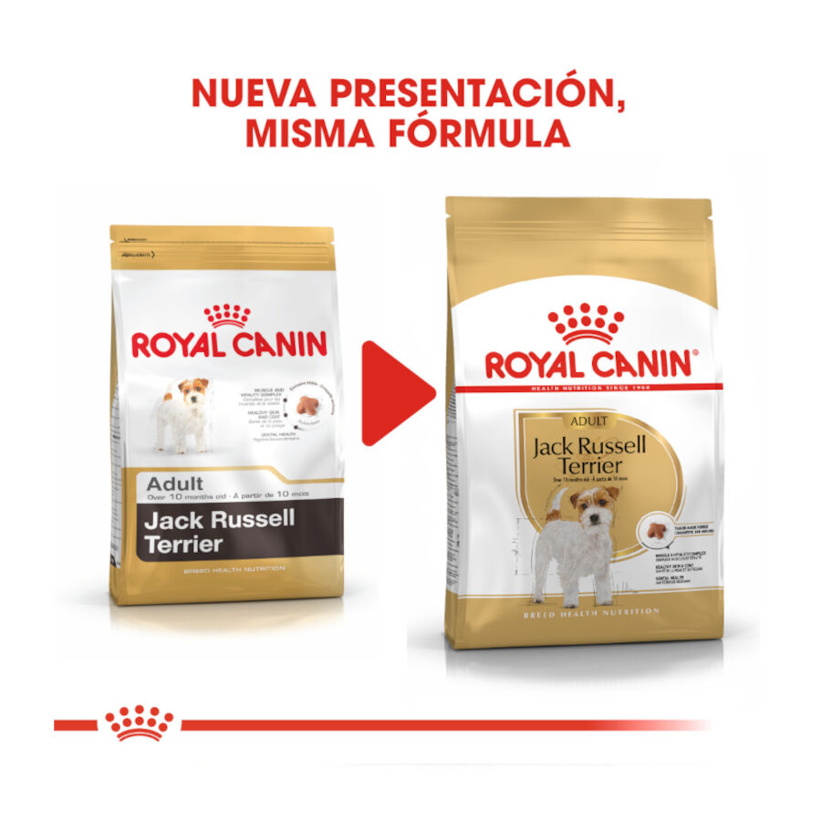 7.5 kg Royal Canin Adult Jack Russell Terrier pienso para perros, , large Imagen numero 3