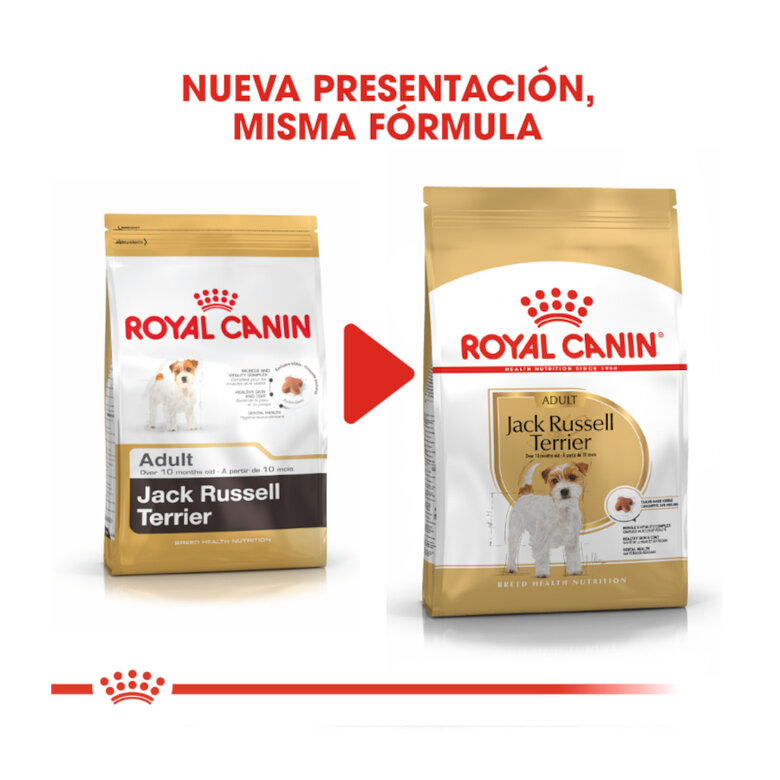 Royal Canin Adult Jack Russell Terrier pienso para perros, , large image number null