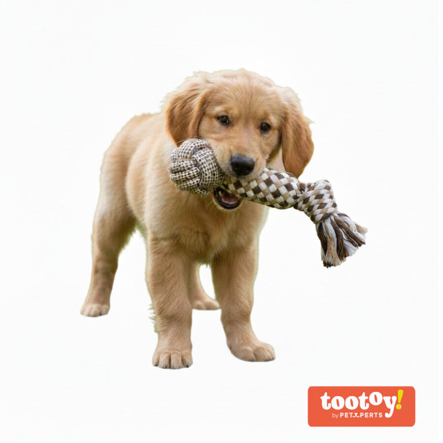 Tootoy! Mordedor de Cuerda con Pelota para perros, , large Imagen numero 6