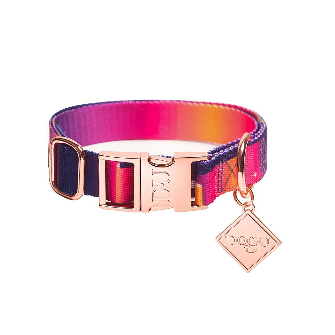 Collar para perro - Boreal - Symphony, , large Imagen numero 1