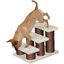 Escalera para mascotas color Beige y Marrón, , large indicador imagen numero 3