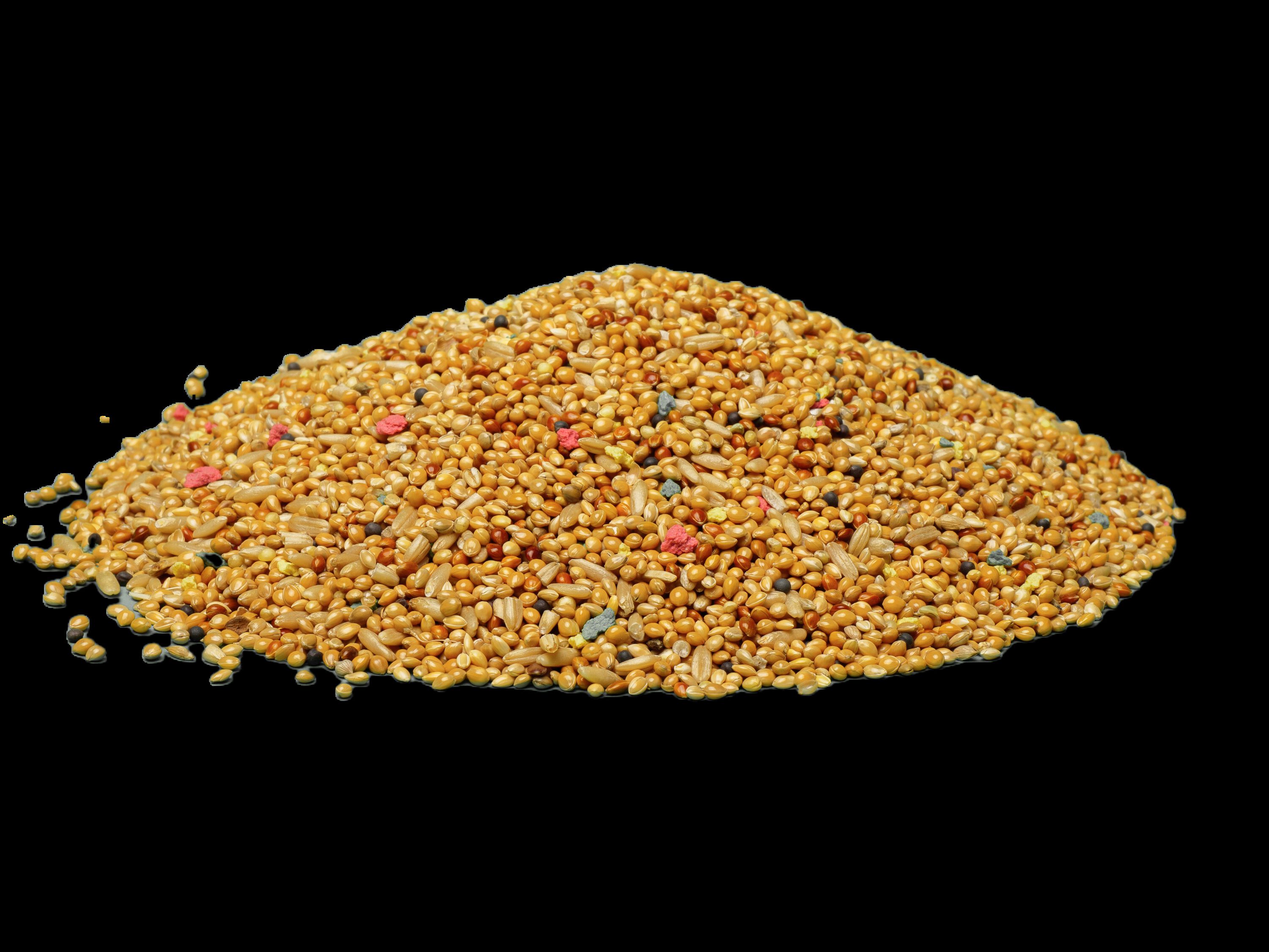 WUAPU ALIMENTO PERIQUITO 1 KG, , large Imagen numero 2